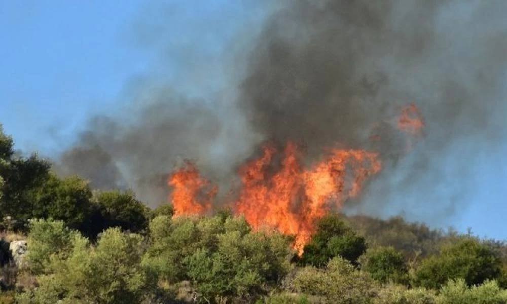 Φωτιά ξέσπασε στην παραλία Διστόμου κοντά στον οικισμό Άσπρα Σπίτια(βίντεο)